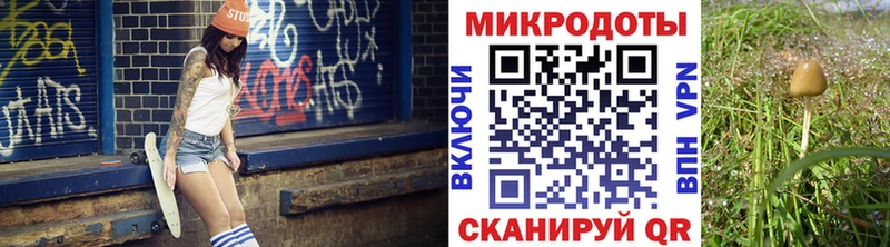 Галлюциногенные грибы мицелий  Махачкала 